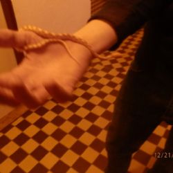 Strážníci v Plzni odchytávali hada, skončil v záchranné stanici
