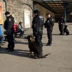 Strážníci v Plzni vyrazili na kontrolu bezdomovců