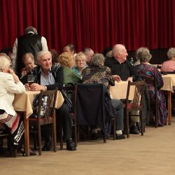 Senioři centrálního obvodu Plzně se bavili na jarním tanečním vínku 