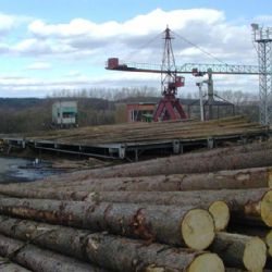 U Dobřan rozkradli dvě skládky složeného dřeva