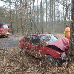 U Ostrovce na Rokycansku narazilo v neděli auto do stromu