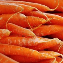 Farmáři v Plzeňském kraji zažívají dobré časy