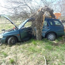 V Horažďovicích narazil řidič do stromu, ten pak hasiči rozřezali