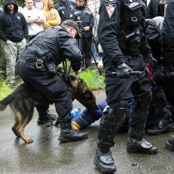 V Líních cvičili těžkooděnci Městské policie Plzeň