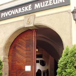 Jak se pivo v Plzni pilo před více než 100 lety? Prozradí od pátku výstava o tradičních hospodách 