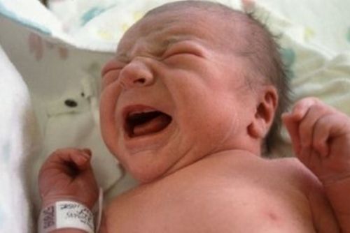 Foto: Novorozenecké oddělení Mulačovy nemocnice má novou primářku