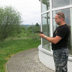 Vlaštovky Vláďa a Viola uvízly  v prodejně Keramika Soukup v Křimicích