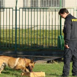 Záchytné zařízení pro uprchlíky v Balkové na Plzeňsku se otevře v lednu