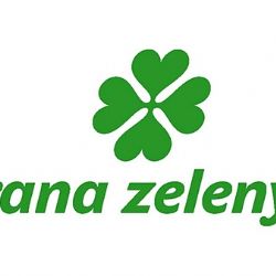 Zelení si v Plzni zvolili krajské vedení