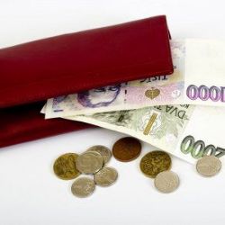 Seniorka v Plané okradla seniorku