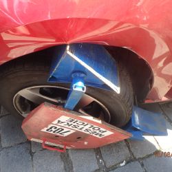 Žena se v Plzni pokusila odjet i s botičkou, byla prý ve stresu