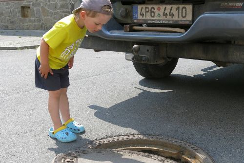 Foto: Zvířecí záchranáři pomohli v Plzni špačkovi z kanálu