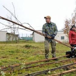 Plzeň rozdává ovocné stromy pro lepší klima a estetiku města