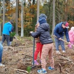 Plzeň zve na Den pro les: sázení stromů a zábava pro rodiny