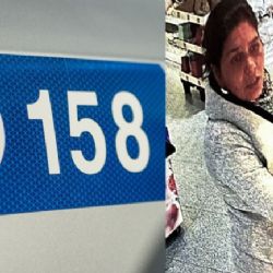 Policie hledá podezřelou z krádeží v Tachově