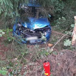 Škoda Octavia narazila do stromu mezi Dobrou Vodou a Hartmanicemi