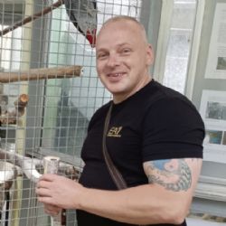Tempel dostane o 2,66 milionu méně za odškodnění