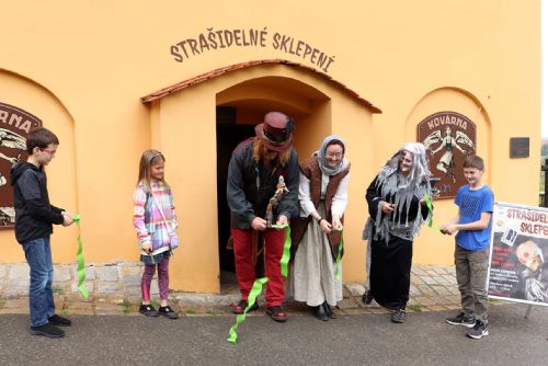 obrázek:Vandalové řádili v zoo, poničili strašidla i proutěného slona