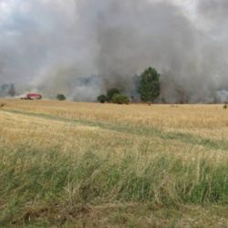 Hned dva požáry zlikvidovali hasiči v neděli před polednem – měli i malé pomocníky