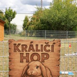 Skákající králíci mají v Plzni své místo - hřiště Králičí Hop přitahuje desítky návštěvníků