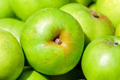 Foto: Výkupní ceny jablek jsou nízké, ovoce je nadbytek