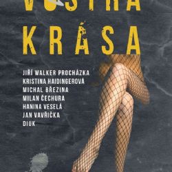 Honza Vavřička vydal sbírku povídek Vostrá krása