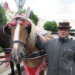 Z KUCHAŘE ŠEL ROVNOU NA KOČÍHO, KONĚ JSOU JEHO LÁSKOU!