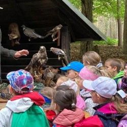160 školáků objevovalo tajemství lesa na Sofronce