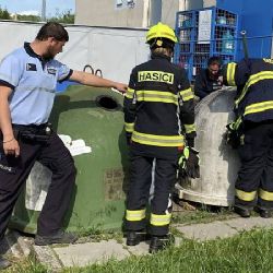 Koťata vhozená do kontejneru zachránila náhoda a lidskost