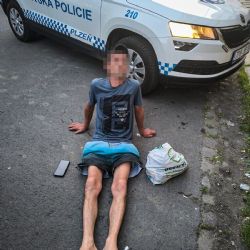 Muž s 3,77 promile ohrožoval okolí
