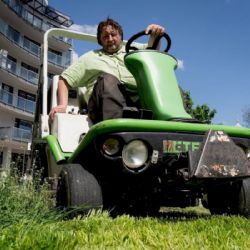 Nestabilní počasí ohrožuje městskou zeleň