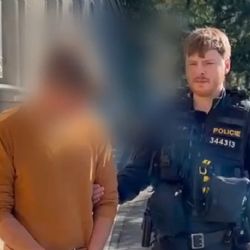 Popelář, který útočil v Sušici si oběť vybral náhodně