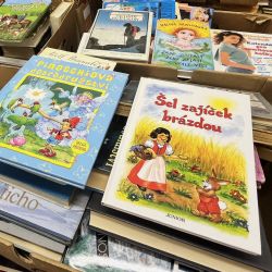 Sbírka knih z univerzity putovala k dětem do Domova sv. Zdislavy