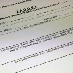 Plzeňský centrální obvod letos podpoří organizace dotacemi ve výši přesahující 8 milionů korun