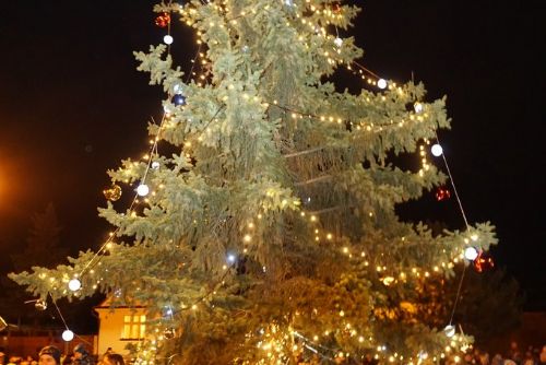 Foto: V neděli se rozsvítil vánoční stromek v Radobyčicích