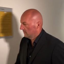 Holzknecht čelí obvinění z útoku na Ukrajinky v Plasích