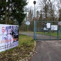 Plzeň přispívá 1000 Kč na kastraci útulkových koček
