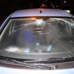 Na jedoucí auto u Pasečnice spadl strom