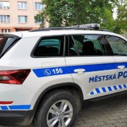 Na zajištění bezpečnosti jde do obcí 10 milionů