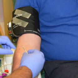 Dárci plazmy v Plzeňském kraji mohou získat vyznamenání Českého červeného kříže