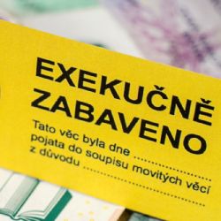 Charita v kraji pomohla během Milostivého léta více než dvaceti lidem zbavit se exekucí 