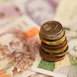 Ženu z Tachovska obral falešný bankéř o 850 tisíc