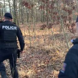 Brutální vražda bezdomovce v Plzni: Obvinění muži čelí obžalobě