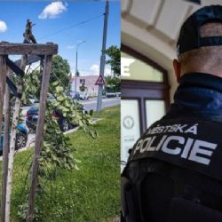 Muž v Doubravce ráno ničil stromy, skončil na záchytce