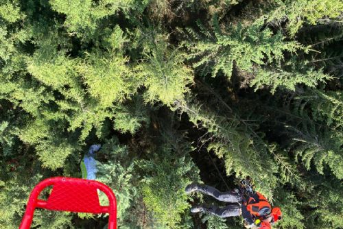obrázek:Paraglidista zachráněn ze stromu u Sušice
