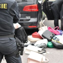 Plzeňští celníci zadrželi padělky za 4 miliony