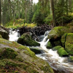 Šumava láká na nové tratě