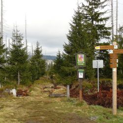 Šumava otevře turistickou stezku na Modrý sloup