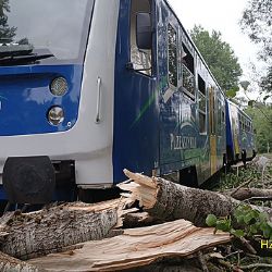 Vlak vykolejil po nárazu do stromu u Bělé, nikdo zraněn