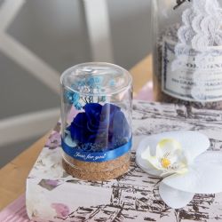Různobarevné věčné růže s dlouhou životností pořídíte na e-shopu HomeDecorHome.cz
